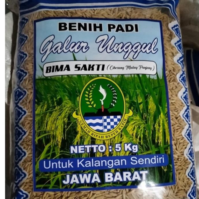 

Terlaris Benih Bibit Padi Bima Sakti Jumbo Bimasakti 5 Kg
