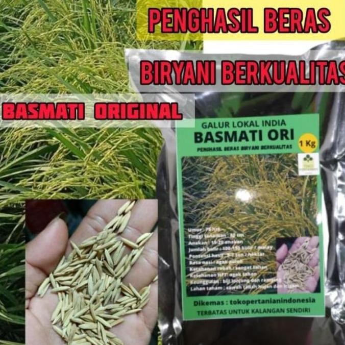 

Terlaris Ready Stock Benih Padi Basmati Original Penghasil Beras Biryani