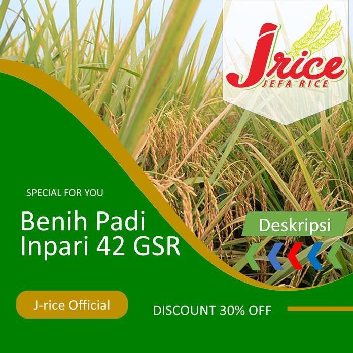 

Terlaris Benih Padi Inpari 42 Bibit Padi Unggul