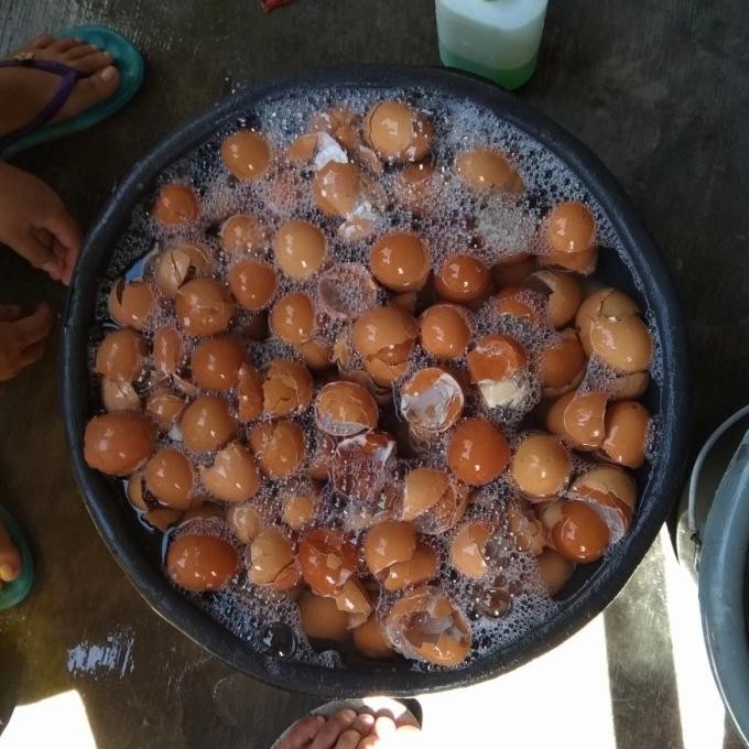 

Terlaris Terbaru Kulit Telur Cangkang Telur Super Halus/Tepung Kulit Telor