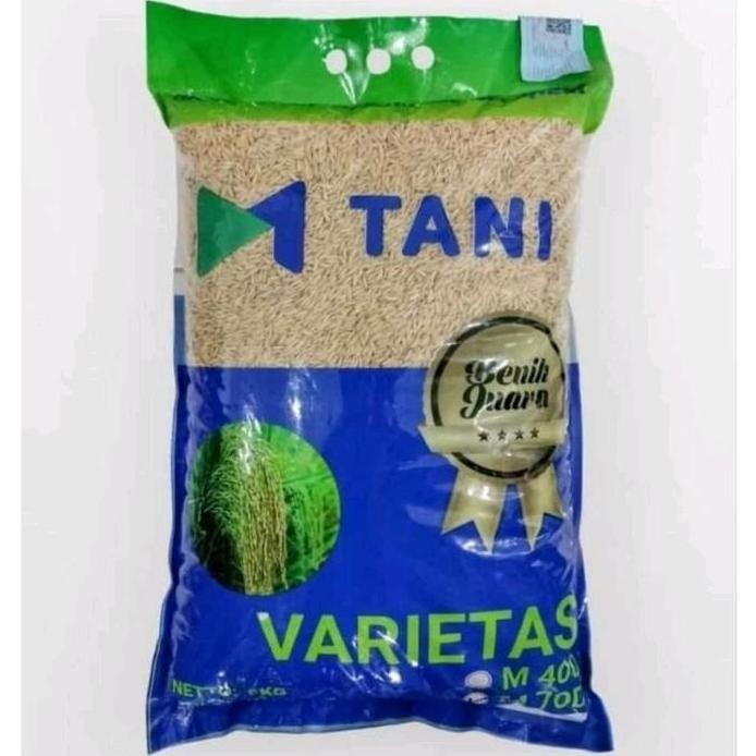 

Terlaris Benih Padi Unggul M70 D Kemasan 5 Kg