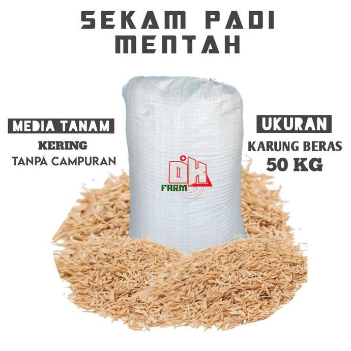 

Terlaris Sekam Padi 1 Karung Mentah Kering