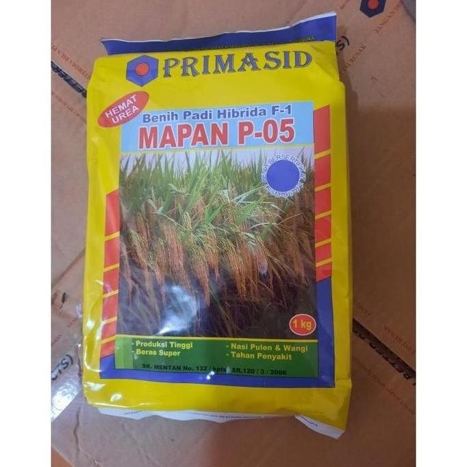 

Terlaris New Yang Asli Di Sini!! Benih Padi Hibrida Mapan P 05 Exp 06 - 2025 Original 100% Terlaris