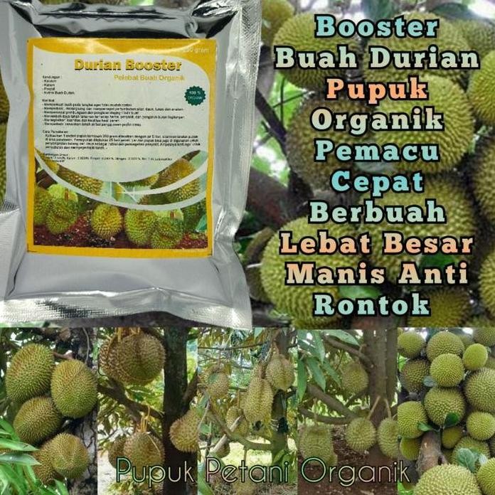 

Terlaris Pupuk Organik Pelebat Buah Dan Booster Durian Cepat Berbuah Lebat
