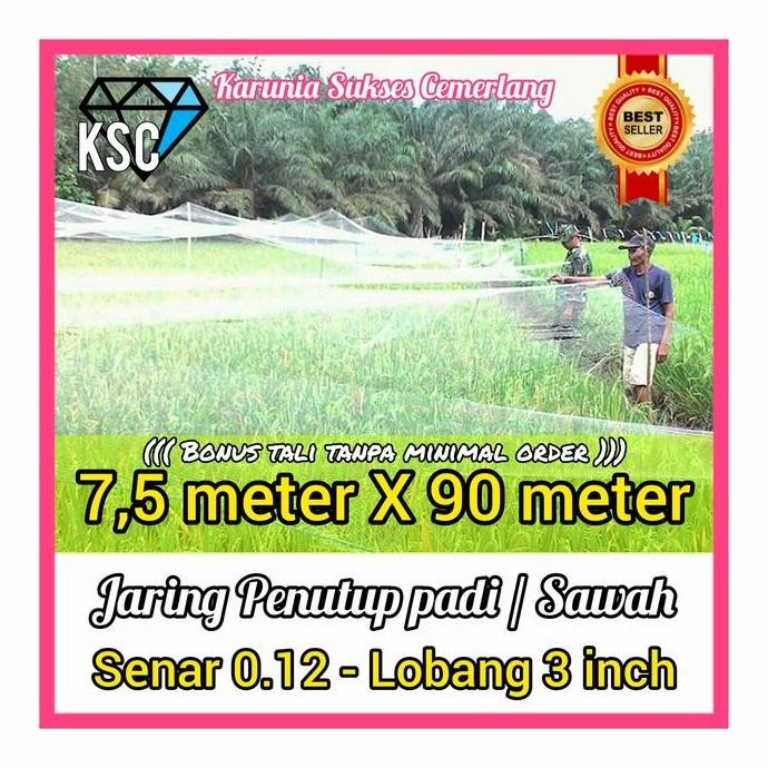 

Terlaris Jaring Padi / Jaring Emprit / Jaring Pipit / Jaring Penutup Sawah Padi