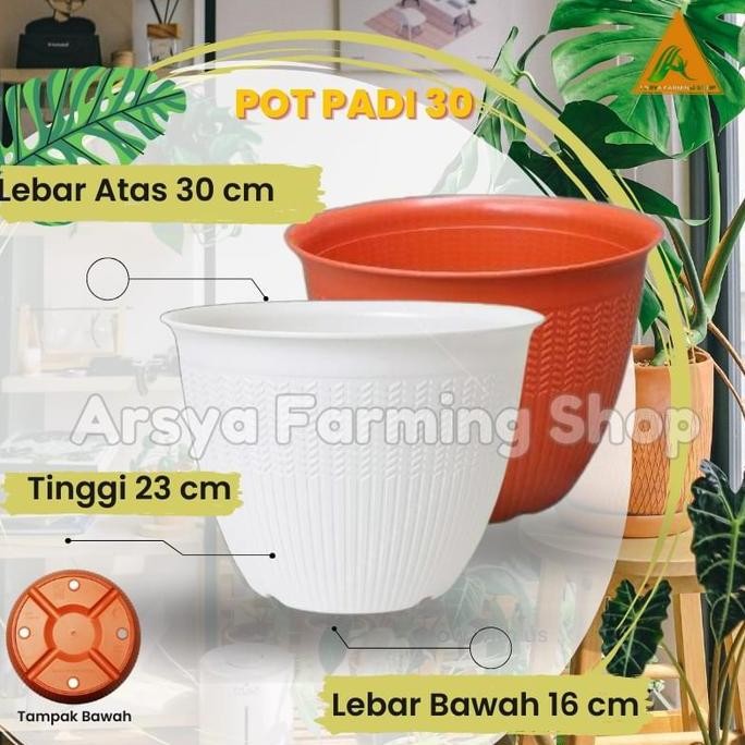 

Terlaris Pot Padi 30 - Pot Bunga Motip Padi - Putih