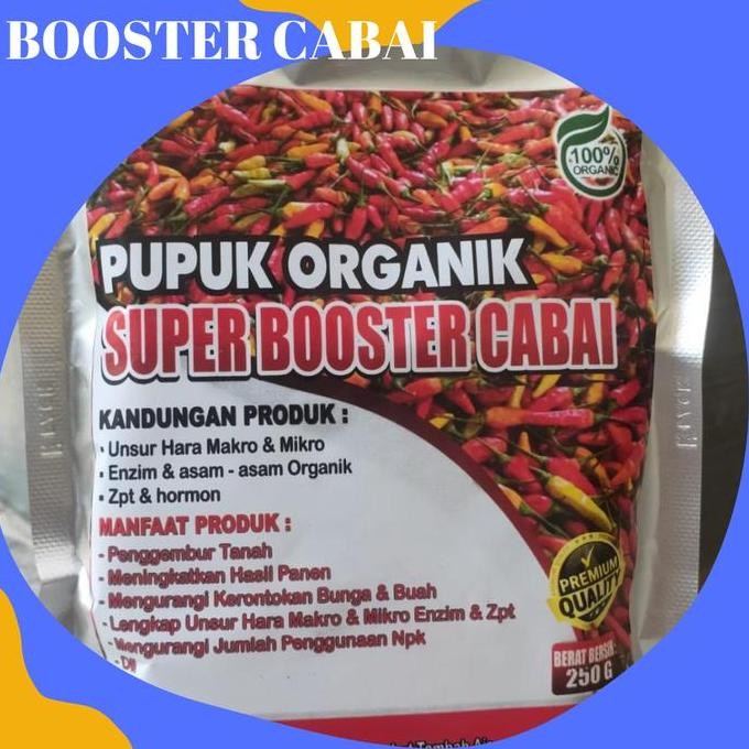 

Terlaris Pupuk Cabe Rawit Merah Pupuk Booster Cabe Rawit Organik Berbuah Besar