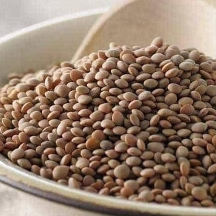 

hanya disini] Brown Lentil 1kg / Lentil Cokelat / Lentil Coklat