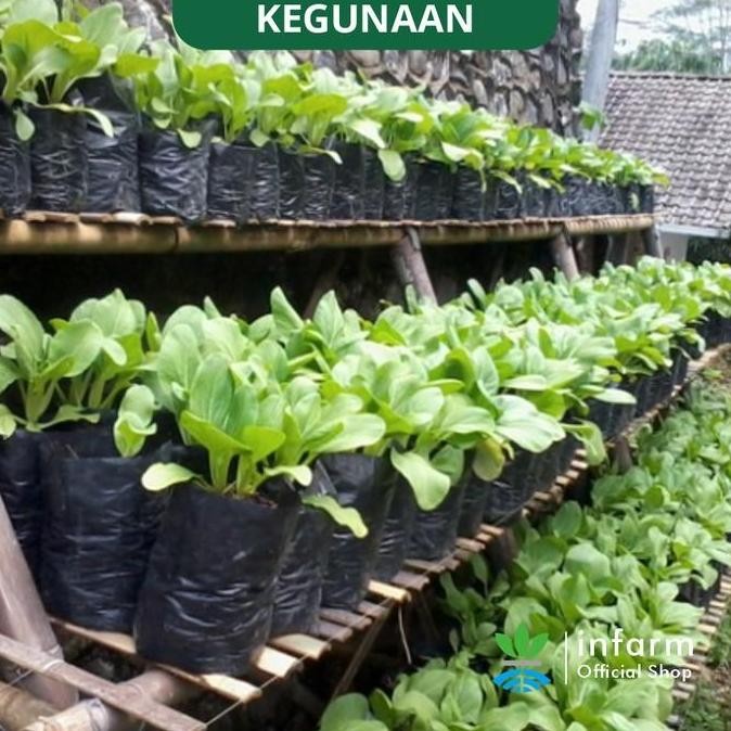 Baru Infarm - 30 Pcs Polybag 15X15 Polybag