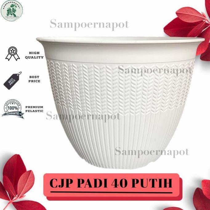 

Terlaris Pot Bunga Tanaman Cjp Padi 40Cm Putih - Cjp Padi 40 Putih 9940