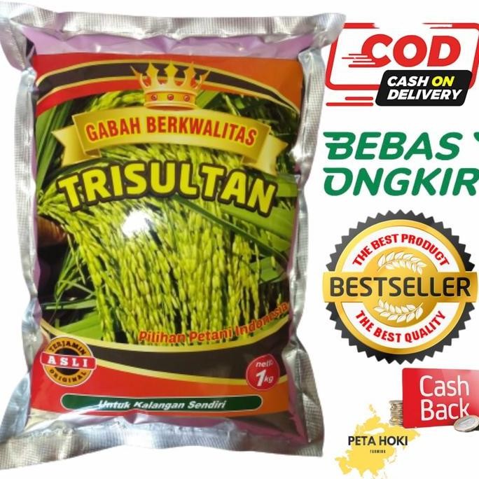 

Terlaris Benih Padi Trisultan Asli Tri Sultan Sertani Vs Inpari 32 Baru 2022