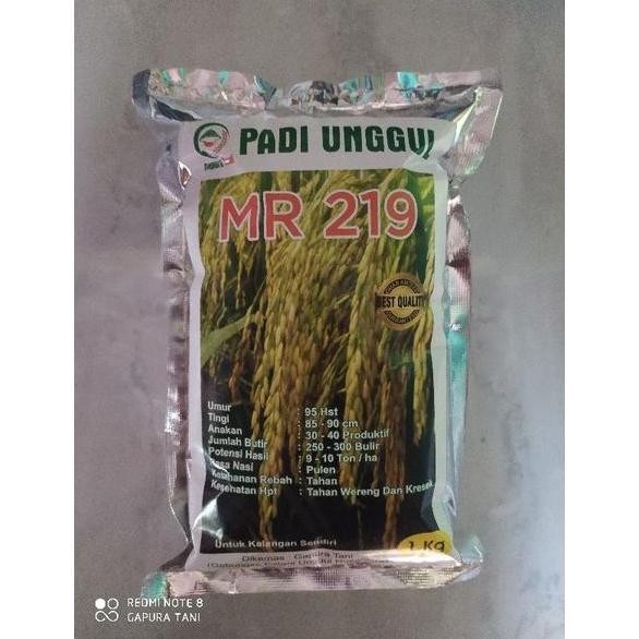 

Terlaris Benih Padi Mr219 1 Kg