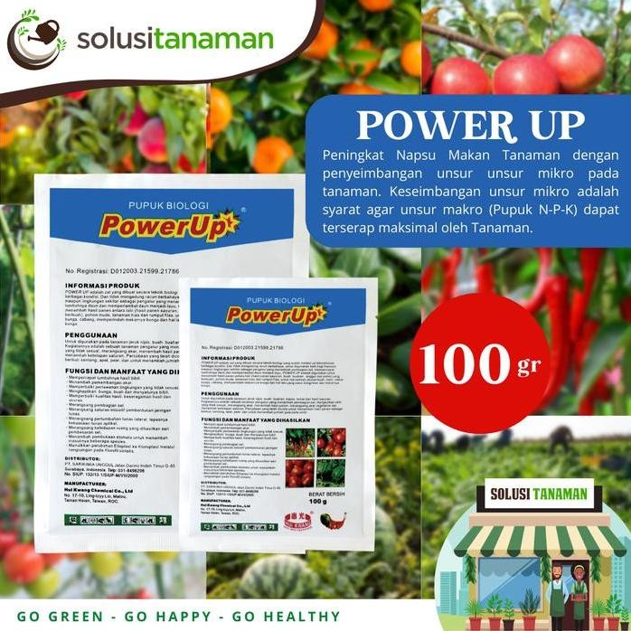 

Terlaris Pupuk Power Up 100Gr Nutrisi Peningkat Napsu Makan Tanaman Pupuk Organik Biji Bibit Benih Kebun Tanaman Sayur Sayuran Buah Organik Taman Hidroponik