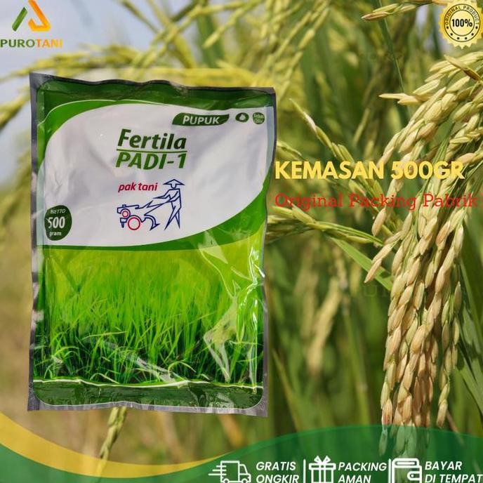 

Terlaris Pupuk Fertila Padi 1 500Gram Pak Tani Perbanyakan Anak Padi