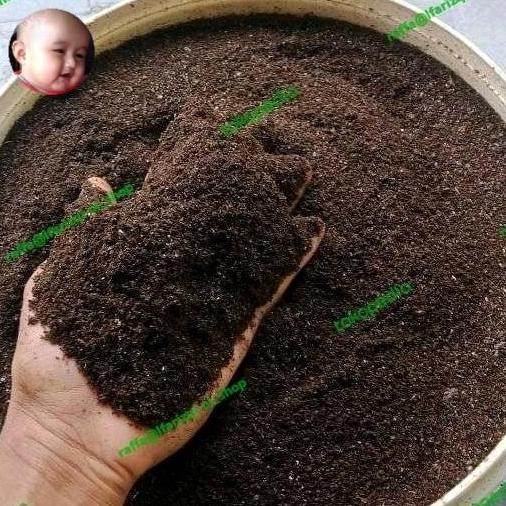 

Terlaris Pupuk Organik Bat Guano Murni 1Kg