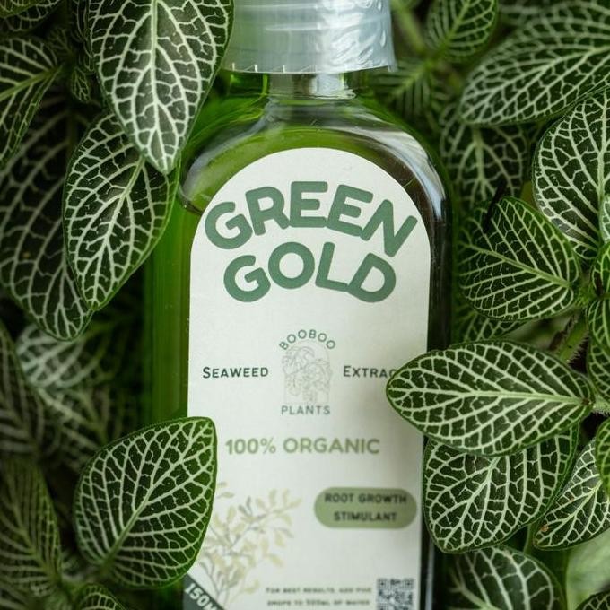 

Terlaris Pupuk Organik Cair Booboo Green Gold Untuk Pertumbuhan Akar