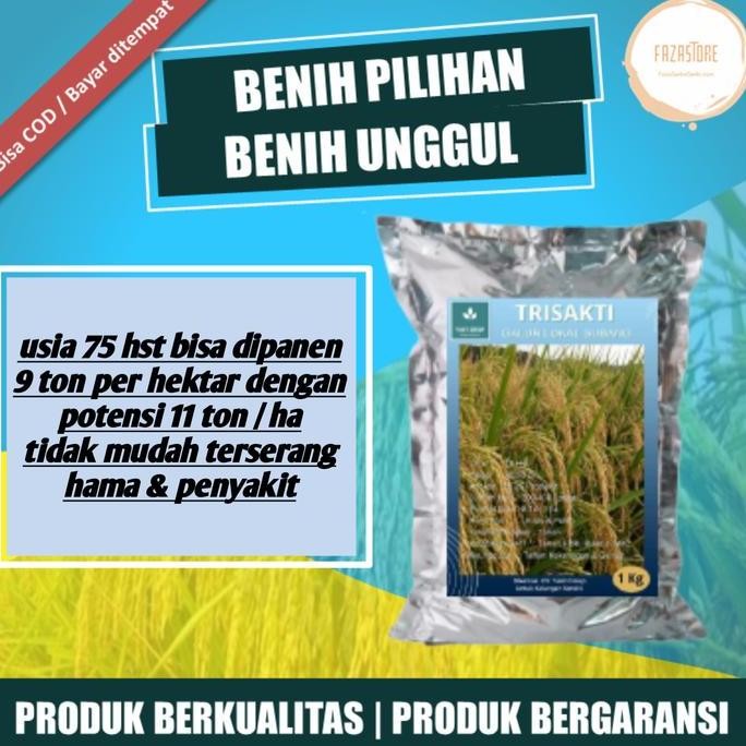 

Terlaris Benih Unggul Padi Trisakti 1 Kg Benih Super Genjah