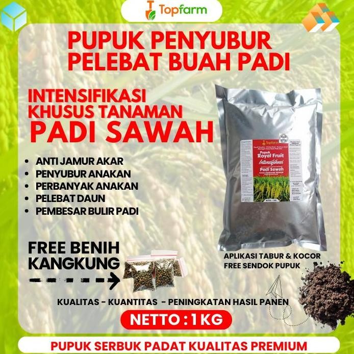 

Terlaris Pupuk Peyubur & Pelebat Buah Padi Sawah Dari Topfarm 1 Kg - Pembesar Bulir Buah Tanaman Padi, Pupuk Serbuk Penyubur Tanah Padi Sawah