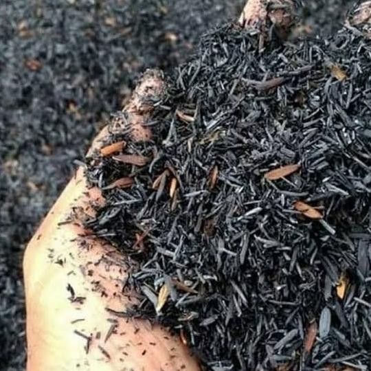 

Terlaris Media Tanam Sekam Bakar Padi/Arang Karungan 1 Kg