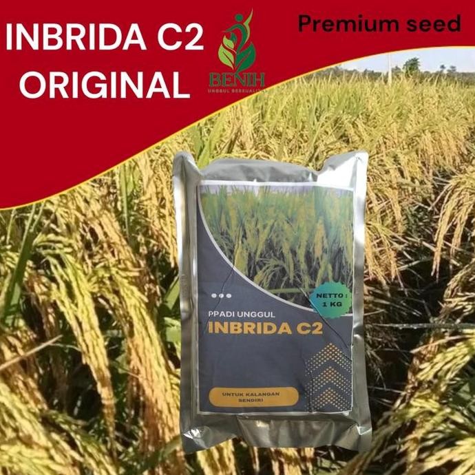 

Terlaris Benih Padi Bibit Padi Inbrida C2 1Kg
