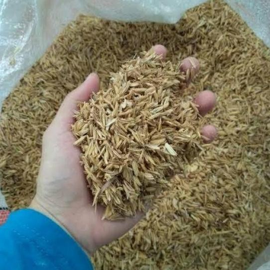 

Terlaris Sekam Mentah, Media Tanam Kulit Padi Karungan.