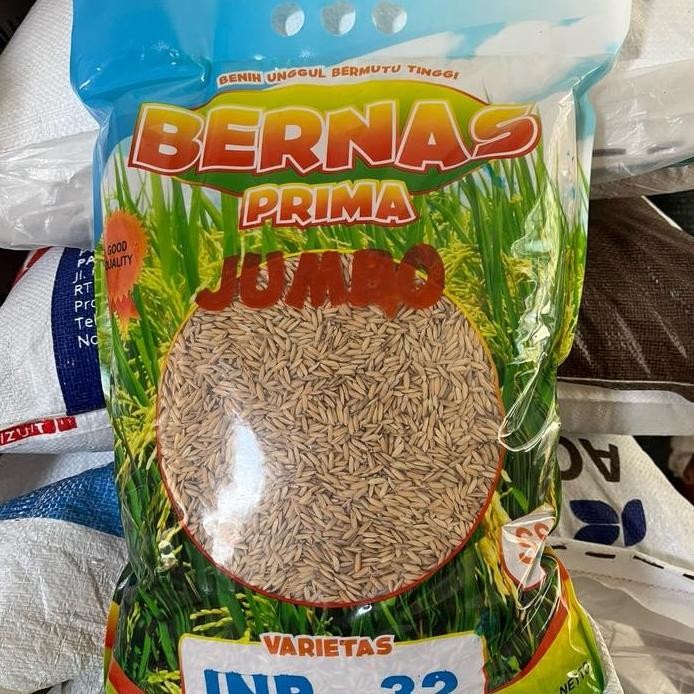 

Terlaris Benih Padi Unggul Bersertifikat Kemasan Pabrik 5Kg Varietas Banyak