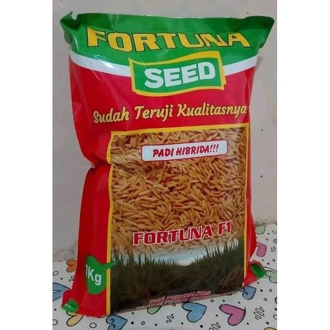 

Terlaris Benih Padi Hibrida Fortuna Seed F1 Kms 1Kg - Tahan Hama Dan Penyakit - Pupuk