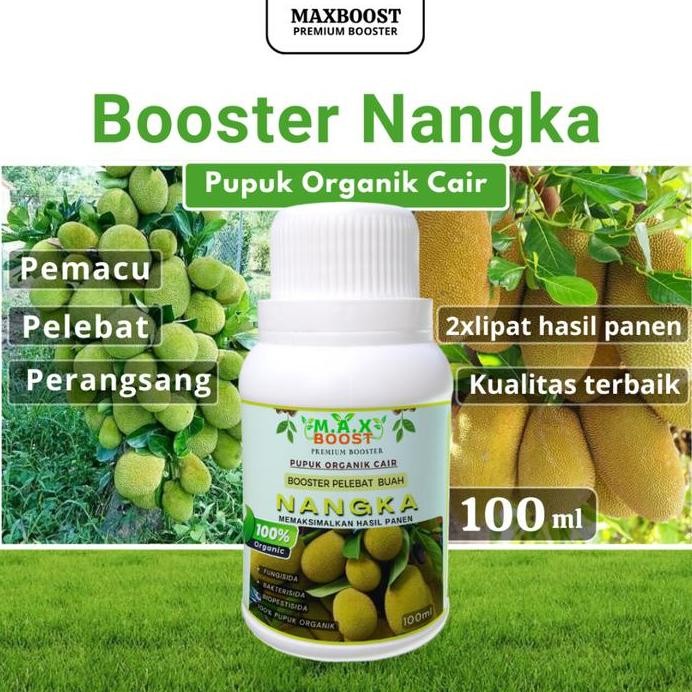 

Terlaris Booster Nangka, Pupuk Organik Cair Tanaman Nangka, Poc Kompos Memaksimalkan Hasil Panen Kemasan 100Ml