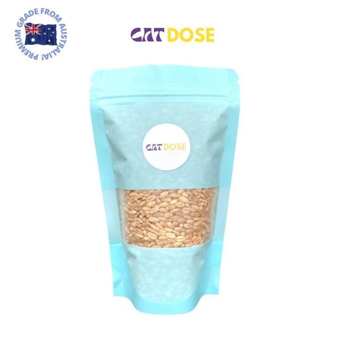 

Terlaris Benih / Biji Gandum Wheatgrass Catgrass Rumput Kucing Premium 100Gr