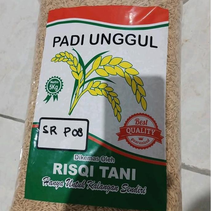 

Terlaris Benih Padi Umur Cepat Panen Srp08 Genjah