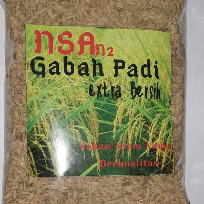 

Terlaris Gabah Padi Makanan Ayam Jago