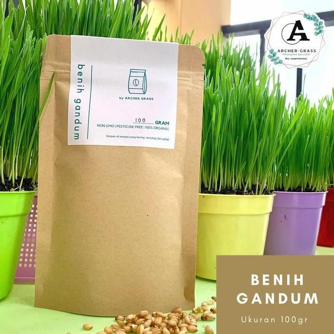 

Terlaris Benih Gandum / Cat Grass / Pet Grass Premium 100Gr.