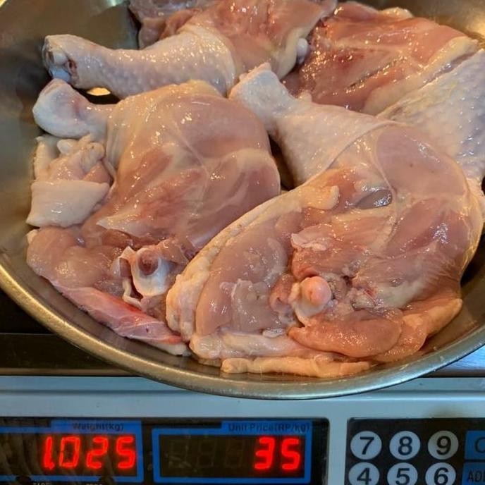 

Paha Ayam Utuh / Paha L