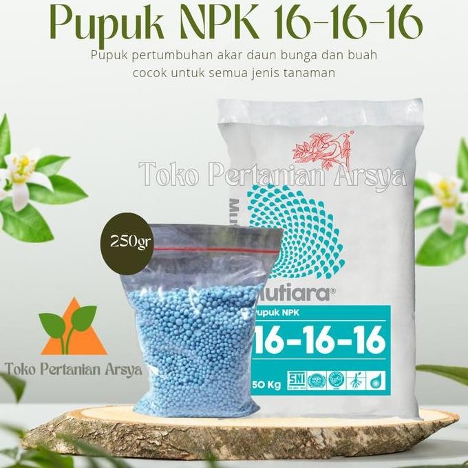 

Terlaris Meroke Pupuk Npk Mutiara 16 16 16 Repack 250 Gram
