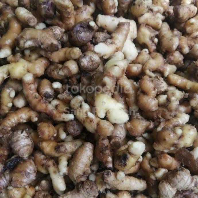 

Jahe Emprit Ukuran Kecil (Bersih Dicuci) 1 kg