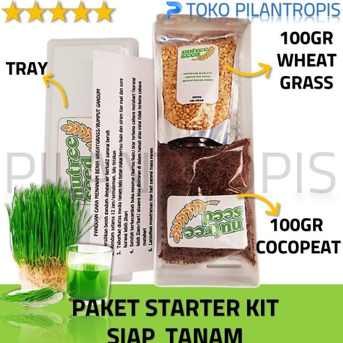 

Terlaris Terlaris Paket Lengkap Starter Kit Benih Wheatgrass Bibit Rumput Gandum Kucing