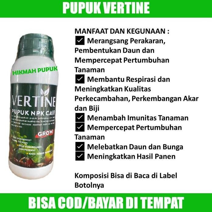 

Terlaris Pupuk Vertine Npk Cair Meyuburkan Tanaman Bawang Daun Menjadi Besar Dan Sehat - Pupuk Mempercepat Pertumbuhan Daun Pada Tanaman Bawang Daun Panen Lebih Banyak, Bawang Daun Cepat Besar Isi 500 Ml Pupuk Bawang Daun