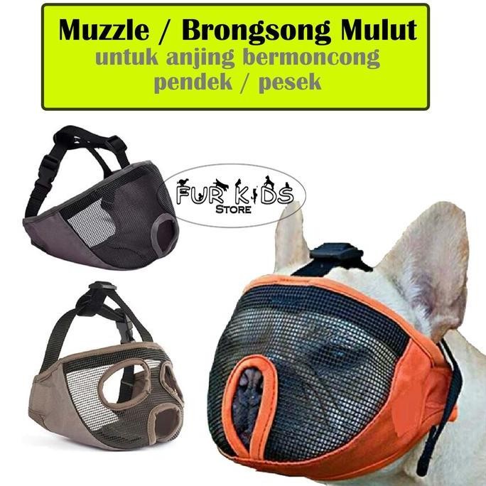 Dog Short Snout Muzzle / Brongsong Berongsong Ikat Mulut Anjing Pesek