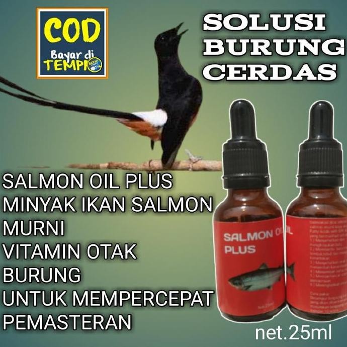 

Terlaris Vitamin Otak Burung Minyak Ikan Salmon Murni