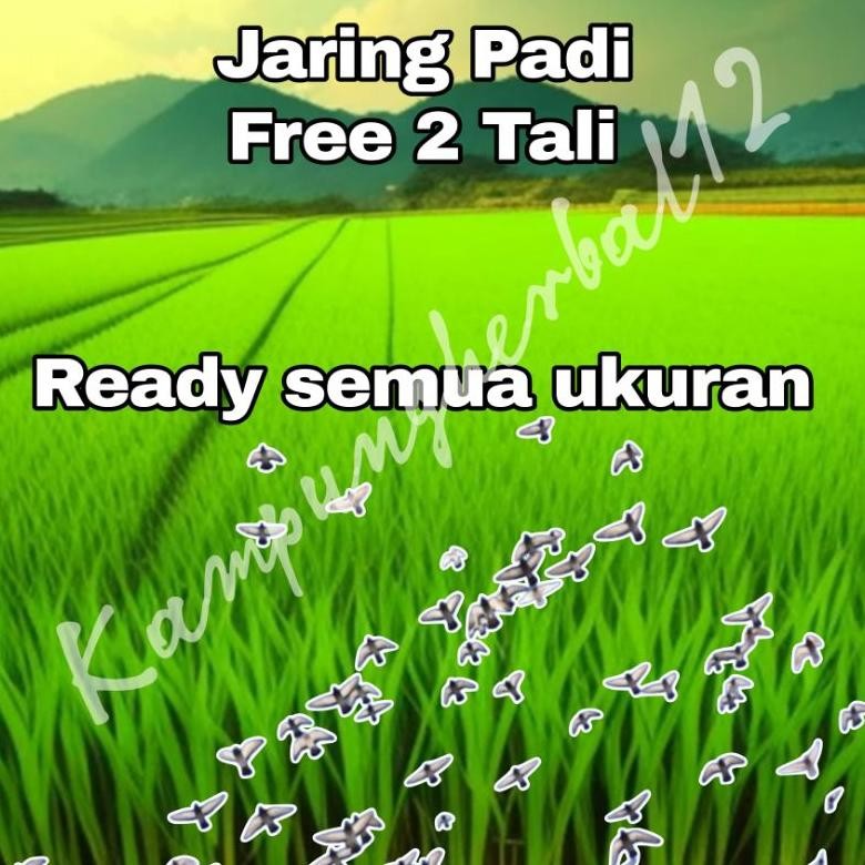 JARING BURUNG EMPRIT / JARING PADI / JARING PELINDUNG PADI / JARING TERLARIS / JARING 7 METER / 0.12
