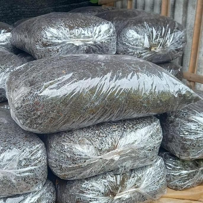 

Terlaris Pupuk Kandang Kambing Bersih Halus
