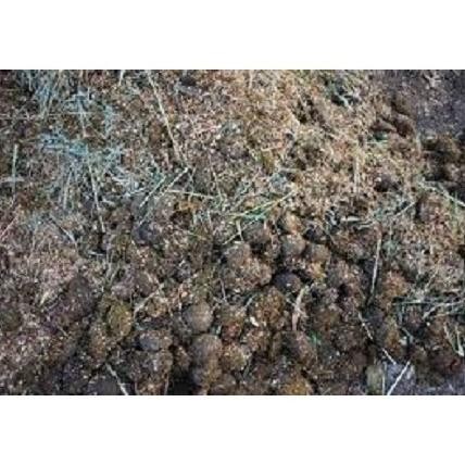 

Terlaris "Jual Kohe - Pupuk Kandang - Kotoran Kambing Siap Pakai ''