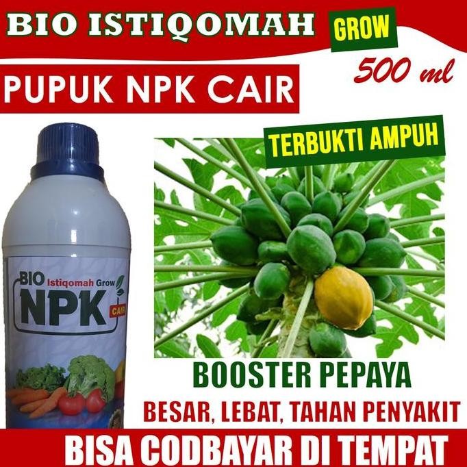 

Terlaris Pupuk Booster Buah Pepaya California Dll Terbaik Isi 500 Ml Istiqomah Grow - Pupuk Npk Cair Pelebat Buah Pepaya Cepat Panen Dan Hasil Maksimal, Pupuk Organik Cair Tanaman Pepaya Paling Manjur Membuat Tanaman Pepaya Sehat Dan Tanpa Penyakit 100%