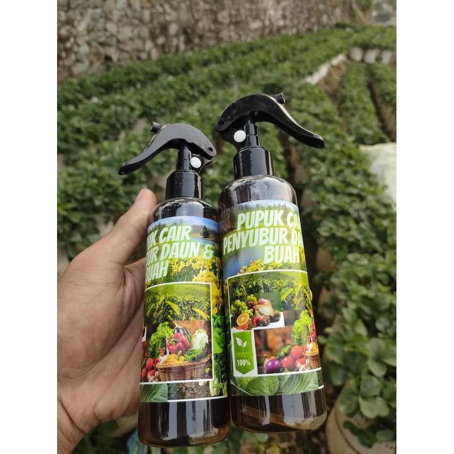 

Terlaris Pupuk Pelebat Buah Dan Daun Strawberry Media Tanam Pupuk Npk Mutiara