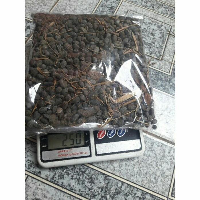 

Terlaris Pupuk Kandang Taikam Murni