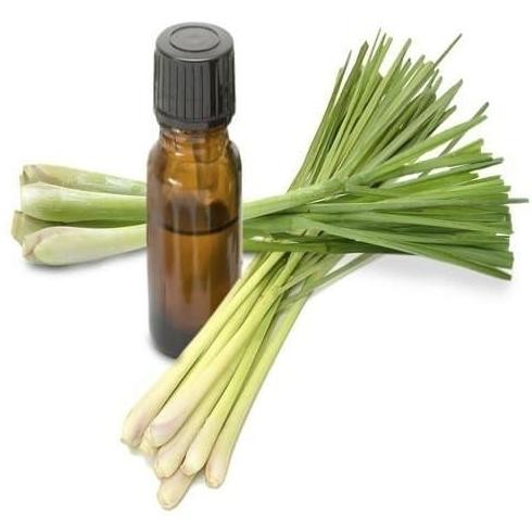 

Terlaris Bibit Parfum Murni Aroma Lemongras Premium/ Sereh Dapur (1 Kg )