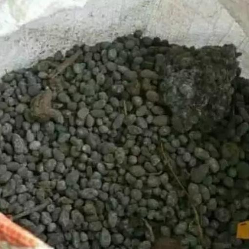 

Terlaris Pupuk Kandang Kotoran Kambing Kering Campuran Media Tanam