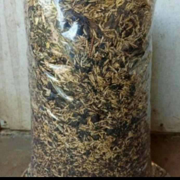 

Terlaris Media Tanam Sekam, Tanah, Pupuk Kandang, 1,5Kg