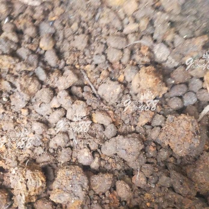 

Terlaris Kotoran Kambing / Pupuk Kandang - 1 Kg