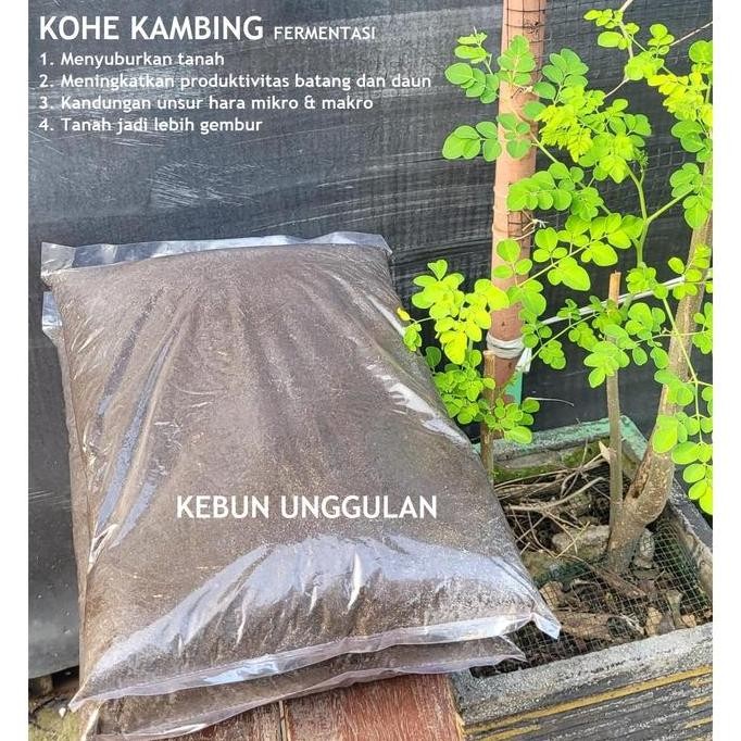

Terlaris Kohe Kambing Fermentasi Halus 3 Kg / Pupuk Kandang / Pupuk Organik
